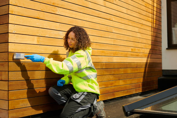 Best Steel Siding Installation  in Eatonville, FL